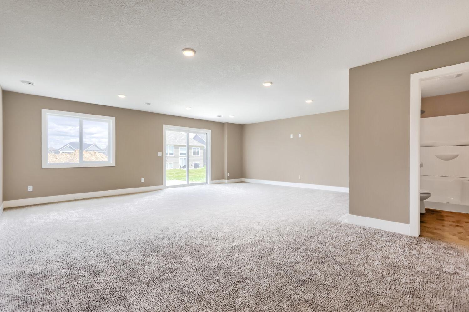 Lower Level Family Room