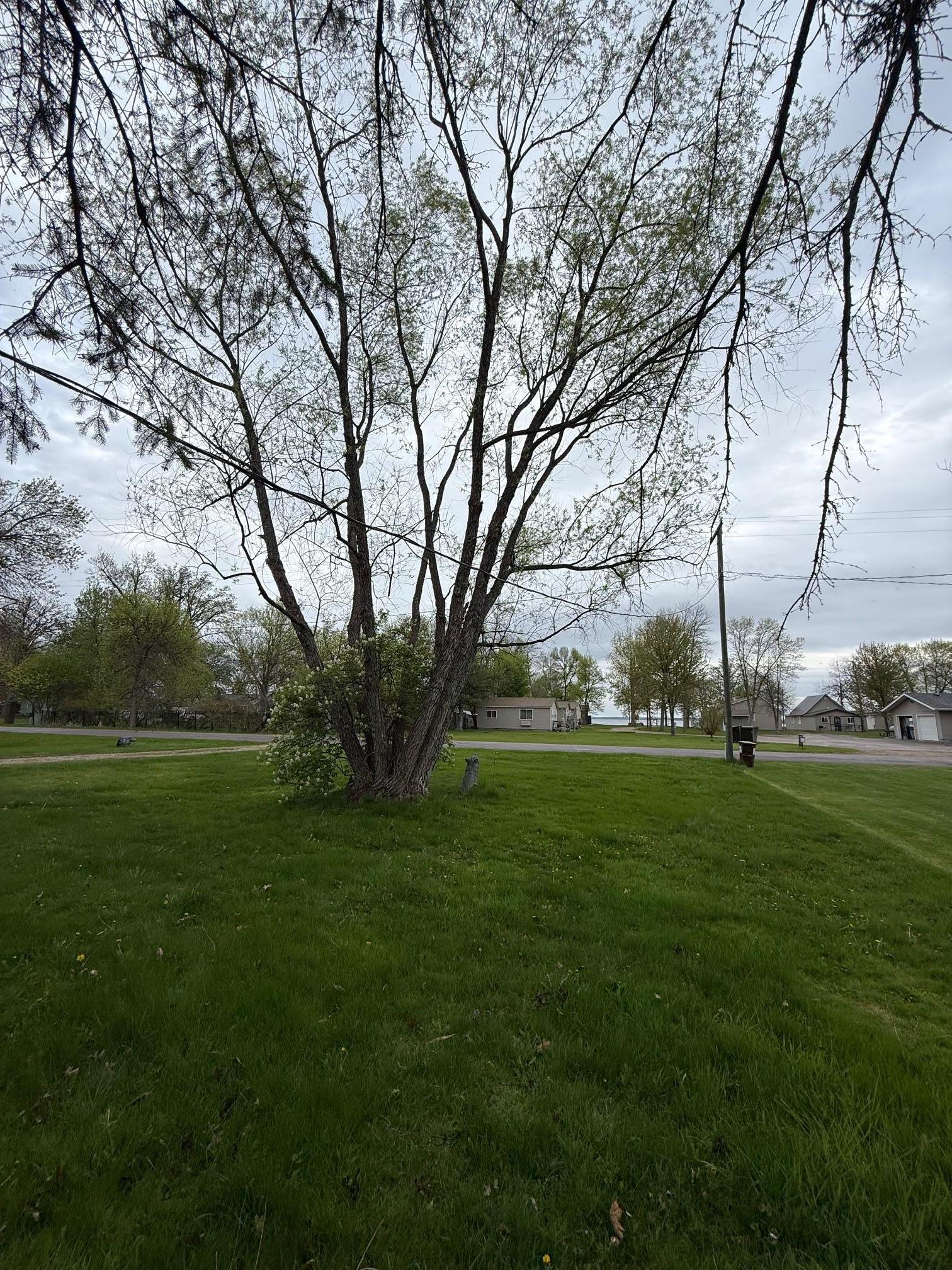 Front Lawn Toward Rush Lake