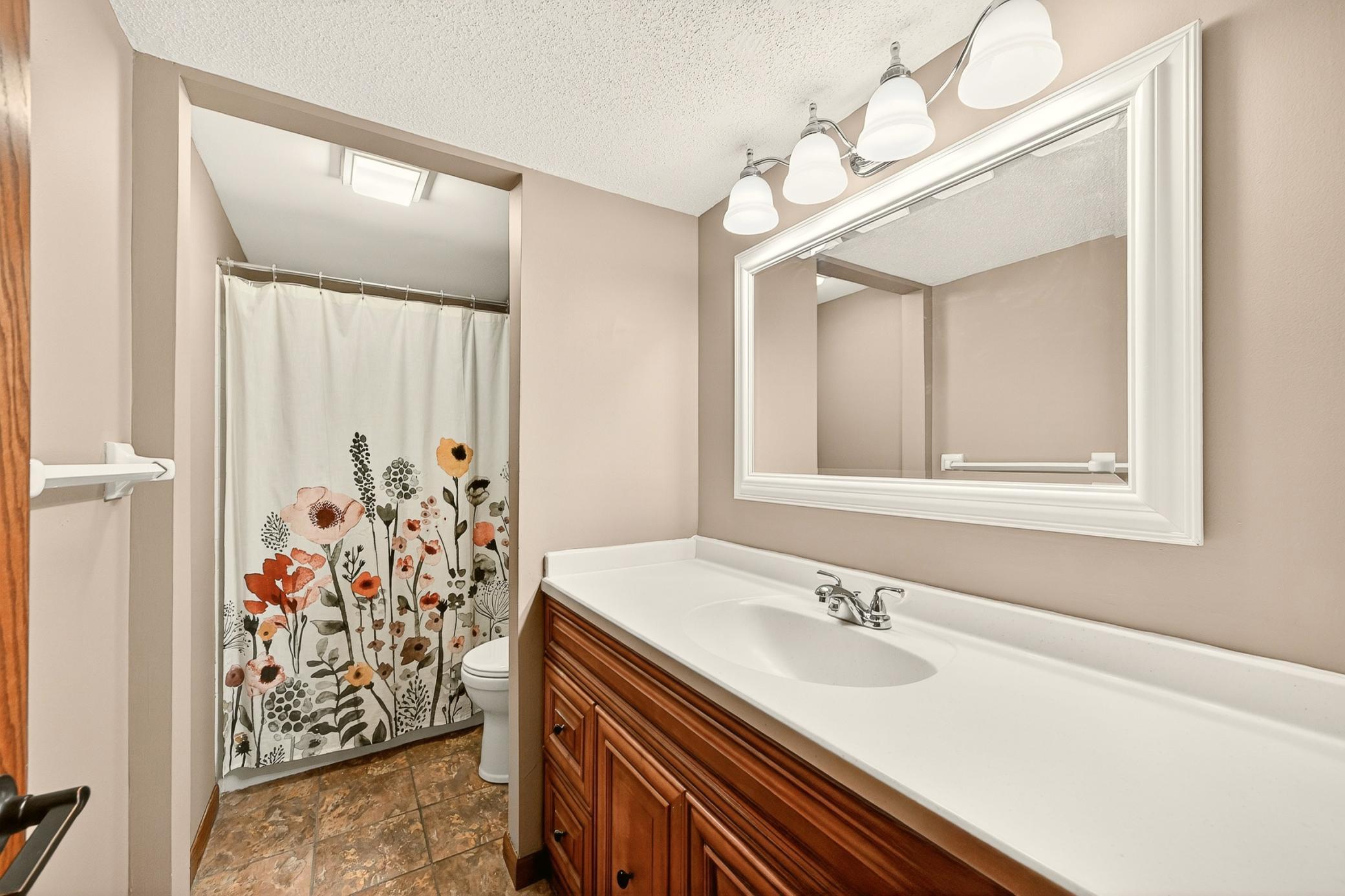 Basement Bathroom