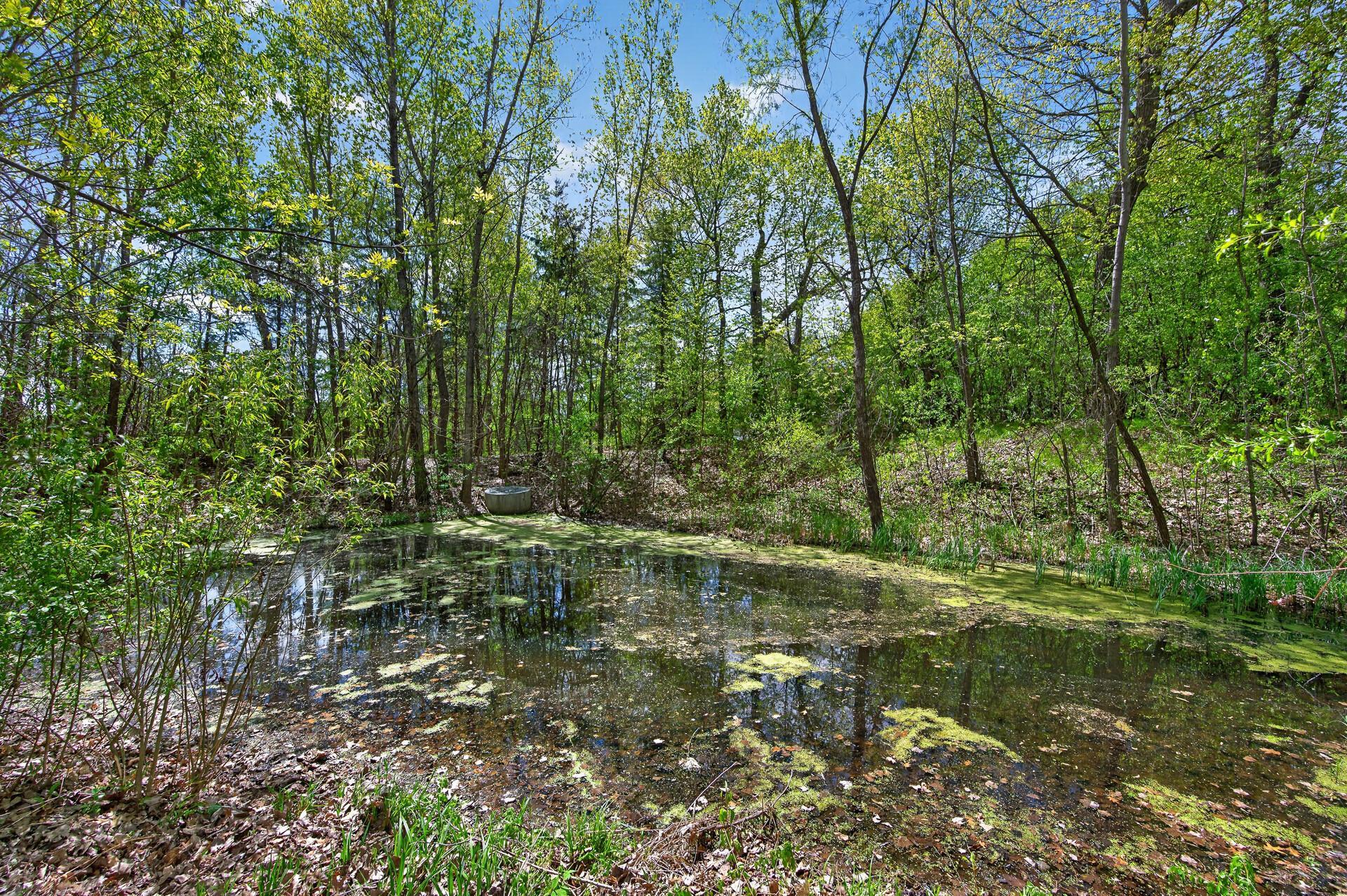 Scenic pond and wooded nature views create a peaceful backyard retreat.