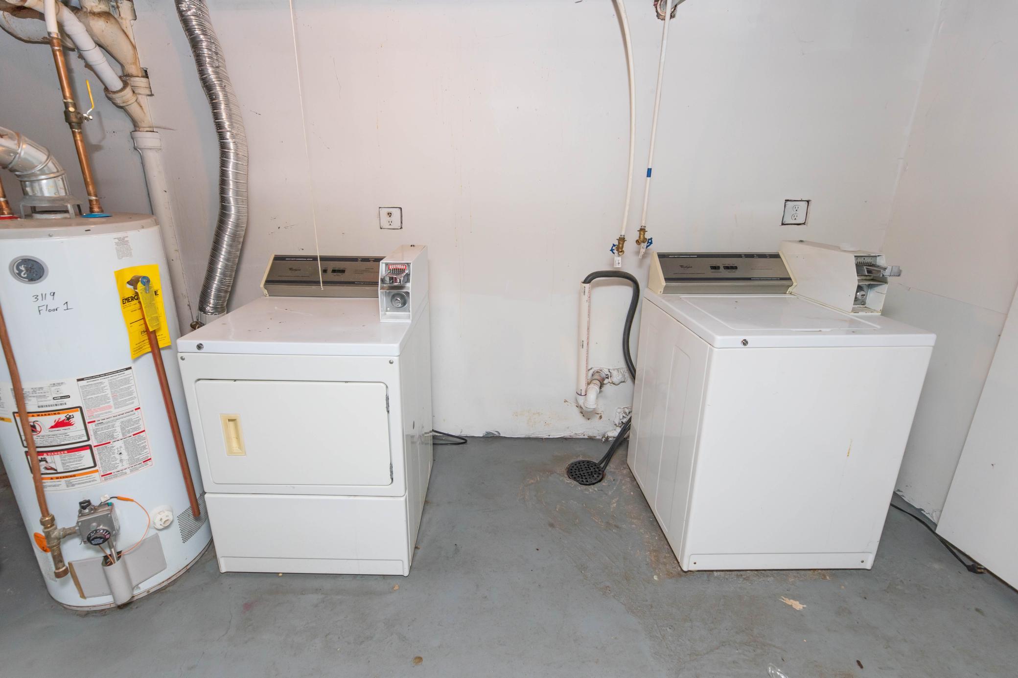 D55A9308.jpg