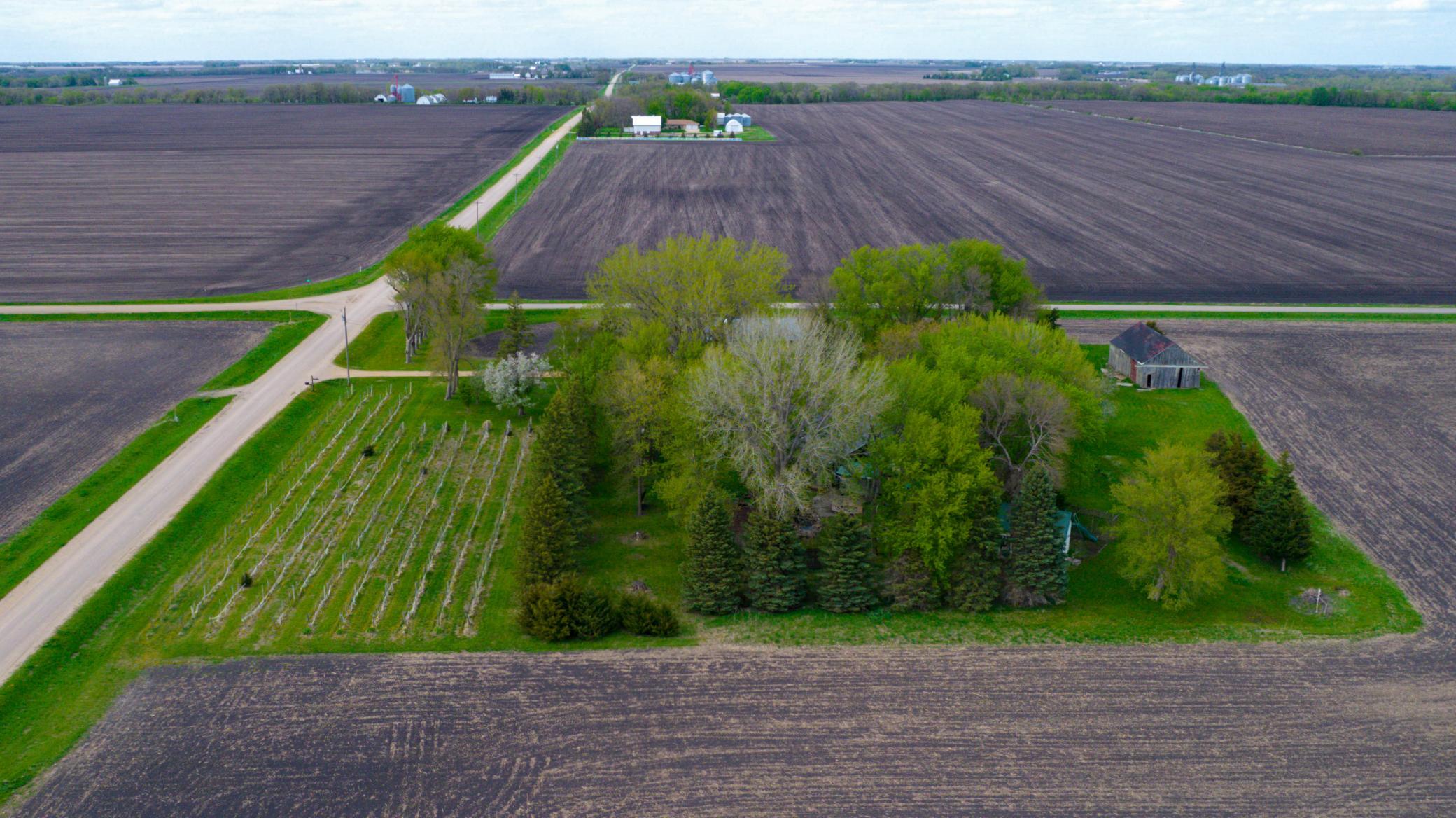 Drone View