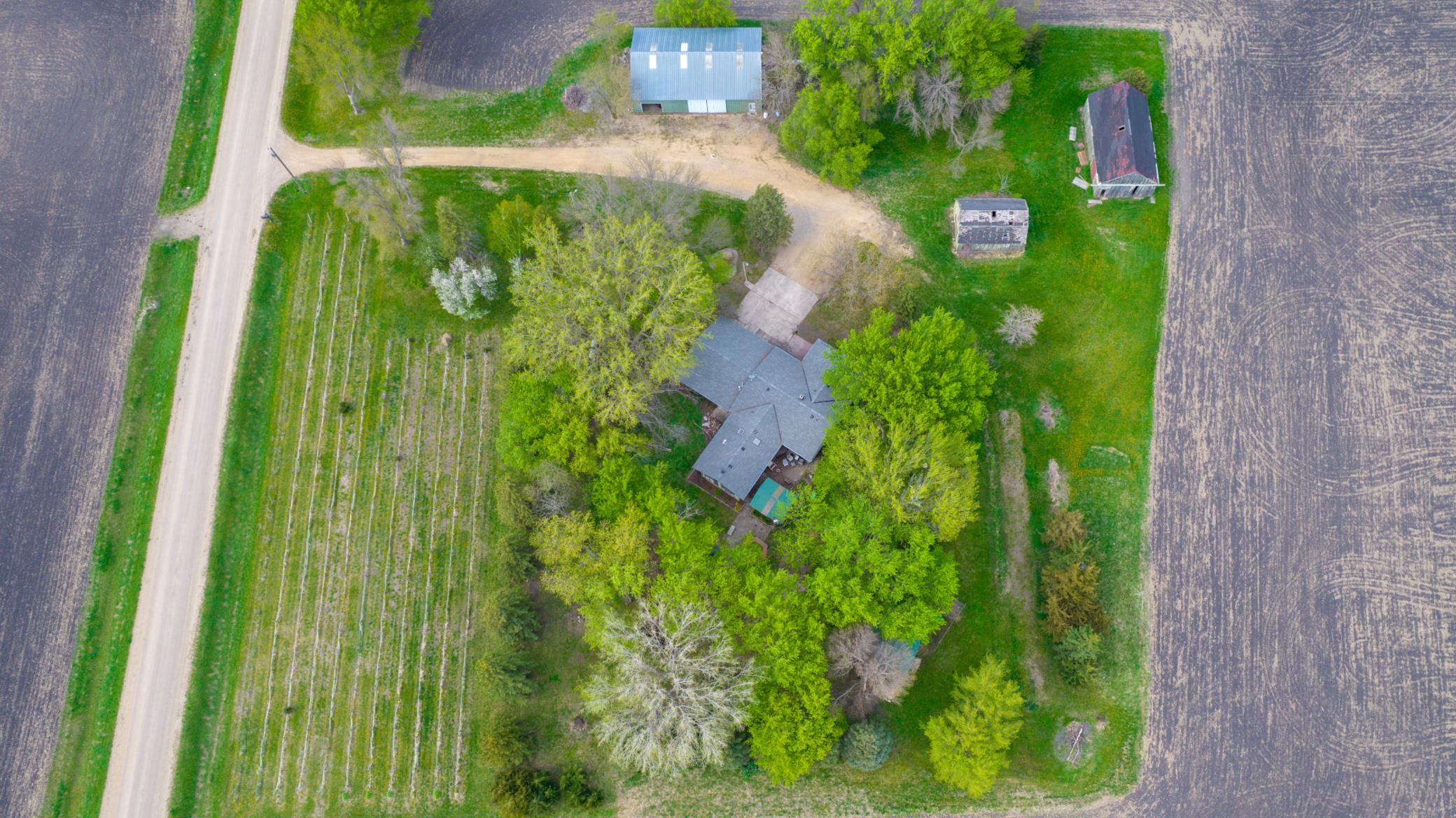 Drone View