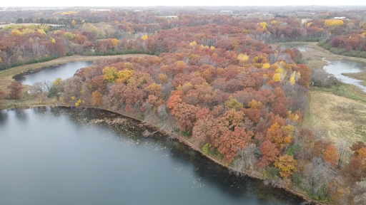 This photo is a great view of the thick woods that is made up of the middle 80% of the photo as you come up off the lakeshore/water line. It's a highter bluff to the left/south with multiple future build site locations