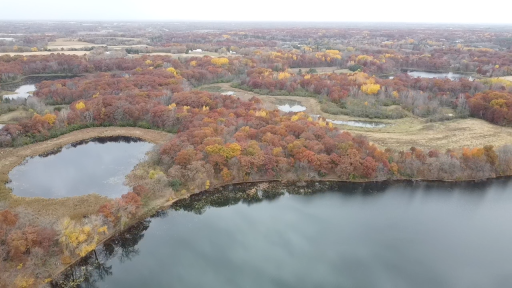Thick, mature trees embody this entire lot and the shoreline is just 500 feet long with its left/south end being pretty flat sandy, prime/best of the best shoreline