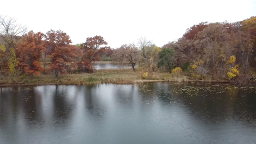 This left side of this photo is where the southern property line located.