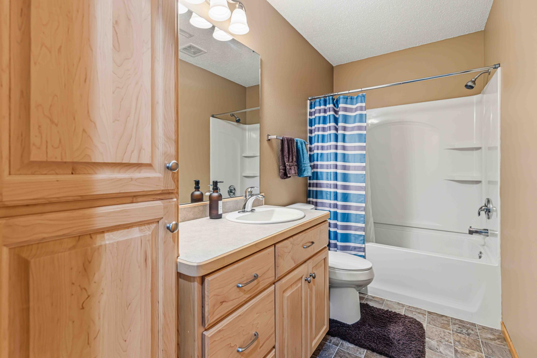 Lower Level Bathroom