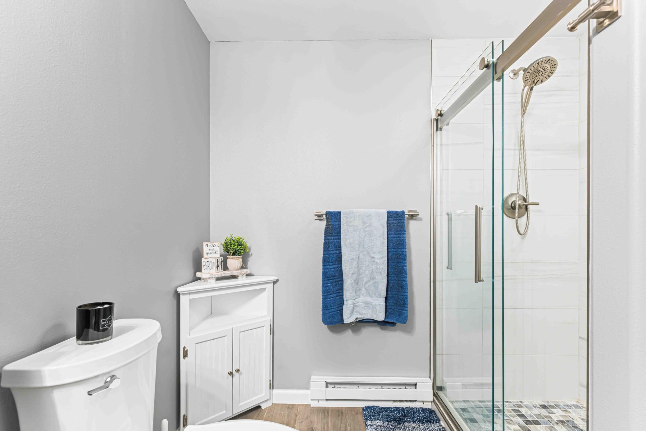 Basement Bathroom