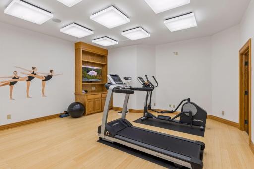 Lower level exercise room