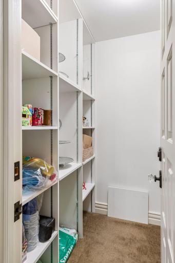 Walk in pantry for the lower level kitchen/bar