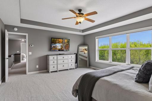 Tree top views and tray vault ceilings. New carpet in 2025, too