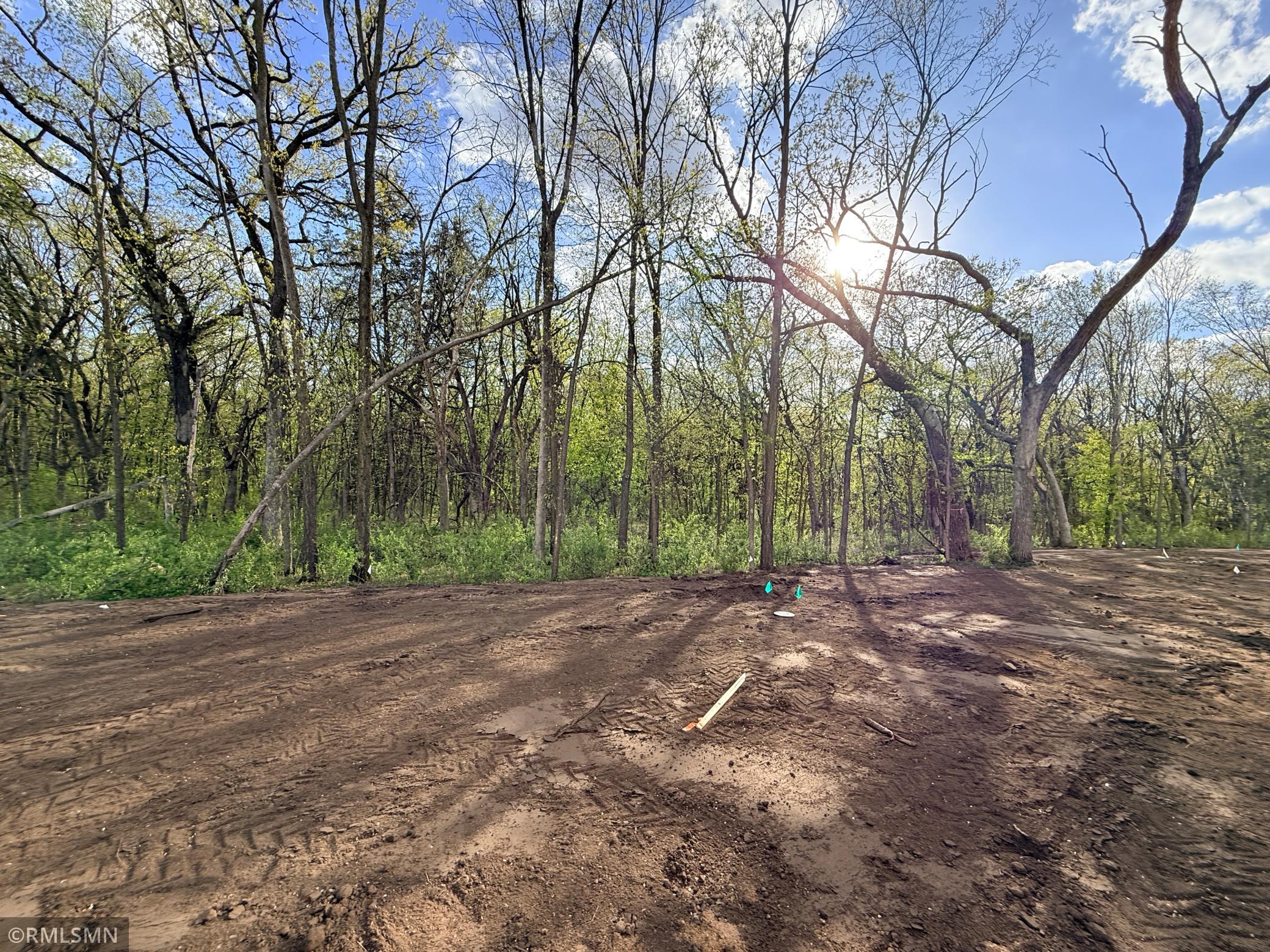 Part of the yard that will have sod and irrigation - the wooded area of this lot extends far past