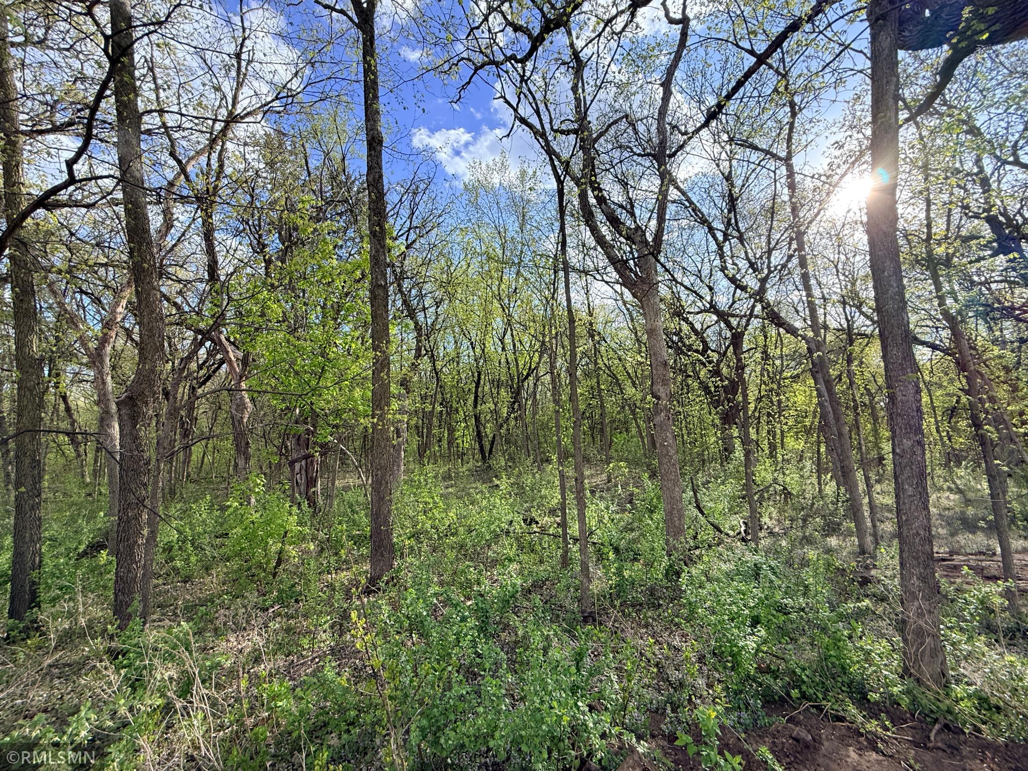 The wooded portion of this lot holds so many possibilities!