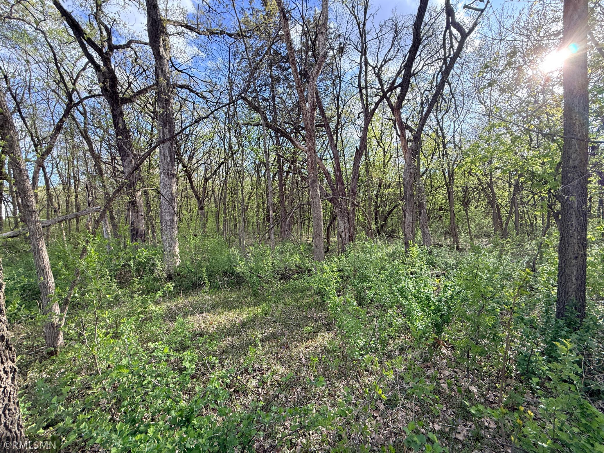 The wooded portion of this lot holds so many possibilities!