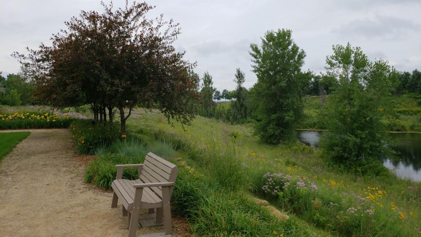 Landscape 2.jpg