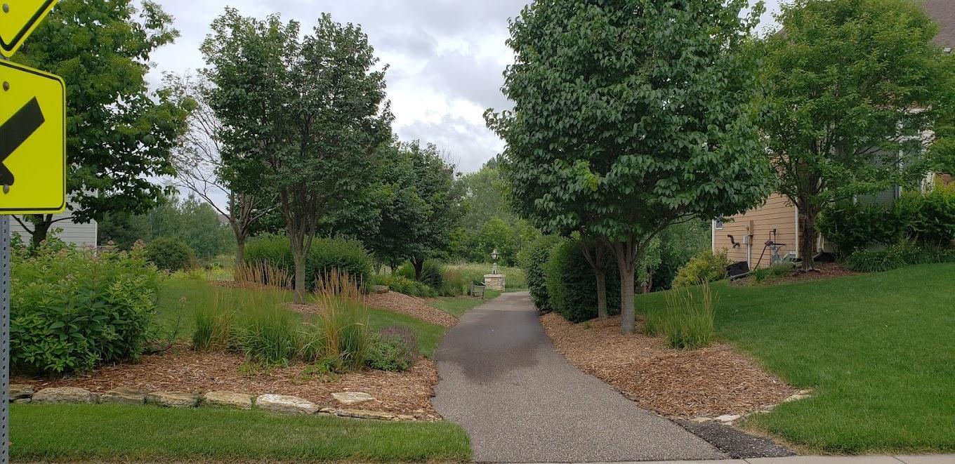 Walking Path.jpg