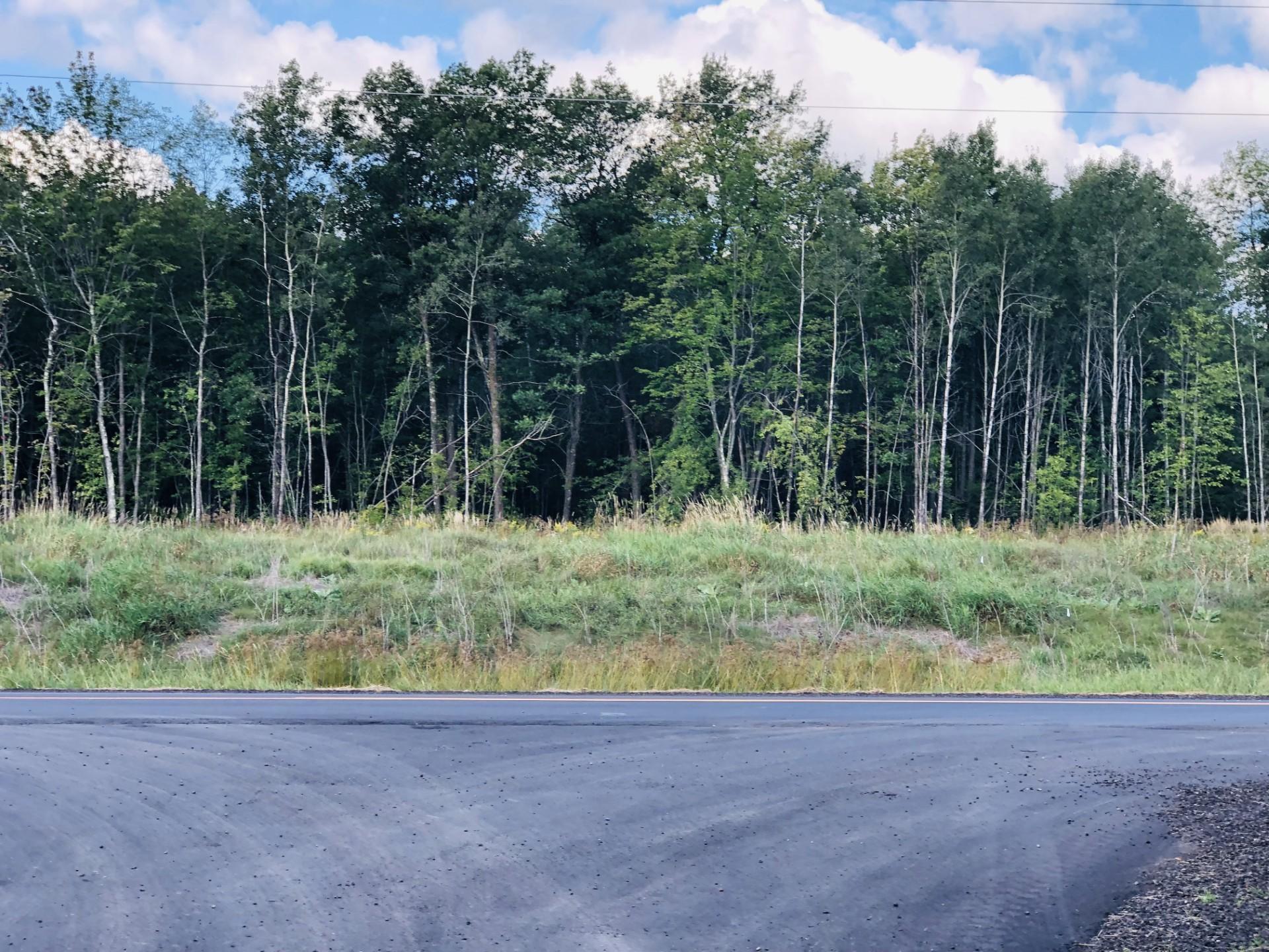 View from Nature Avenue (County Rd. 5)