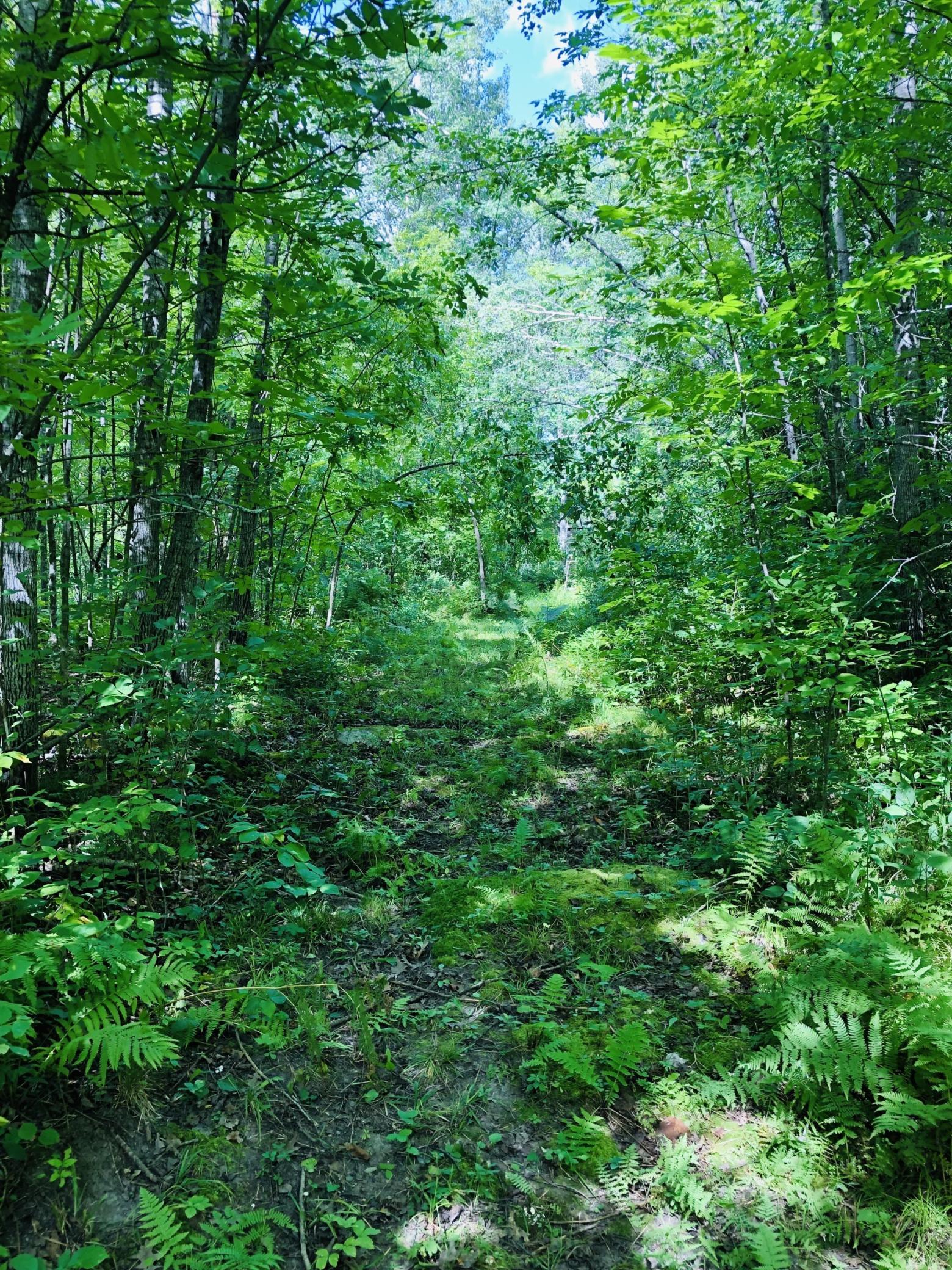 Path on property