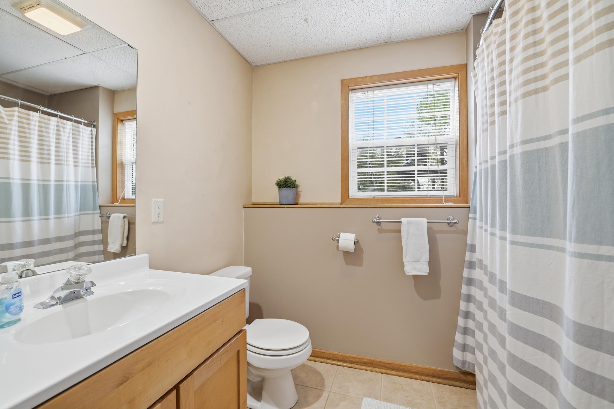 Lower Level Bathroom