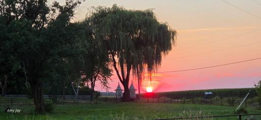 Sunset from front of property