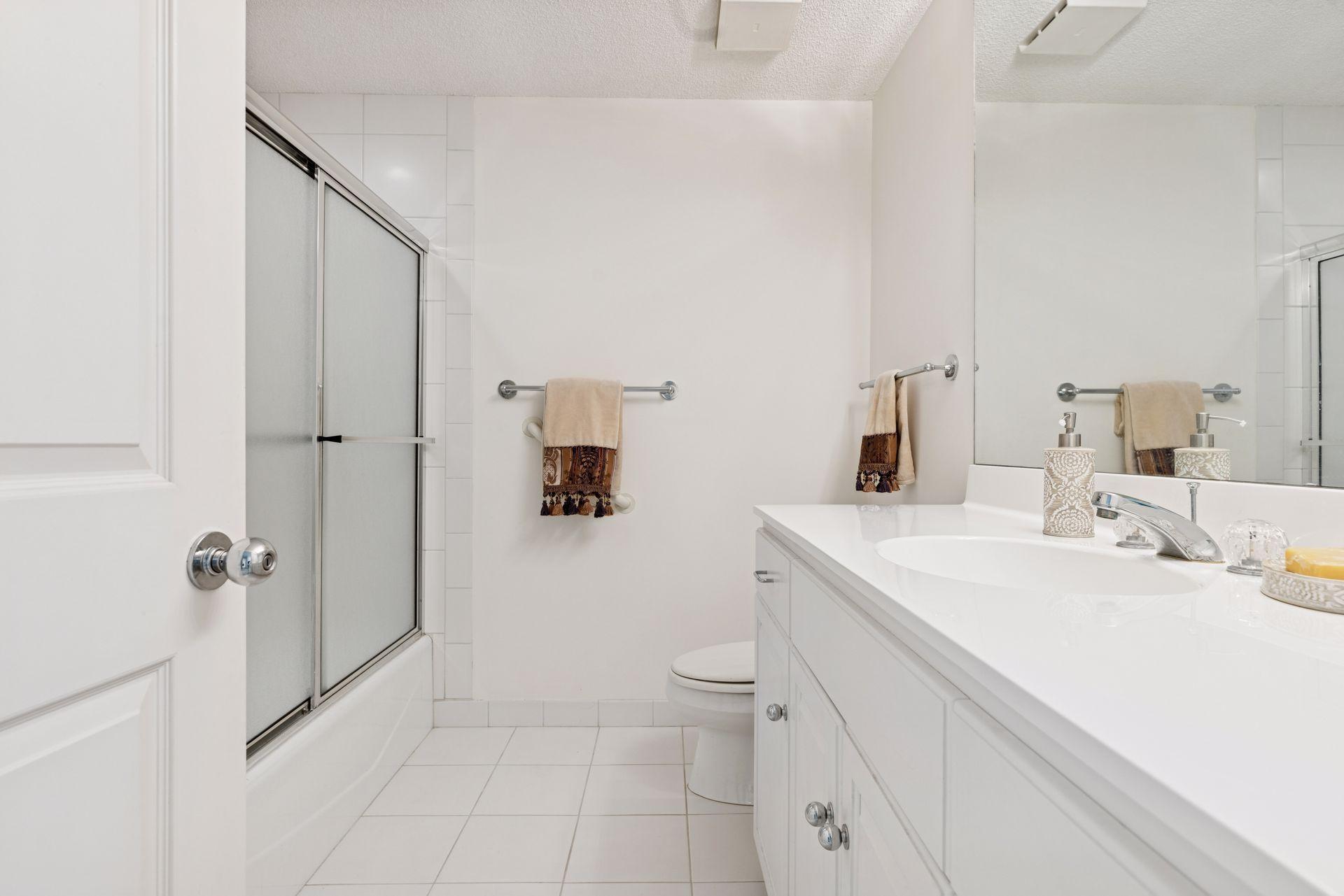 Lower level bathroom