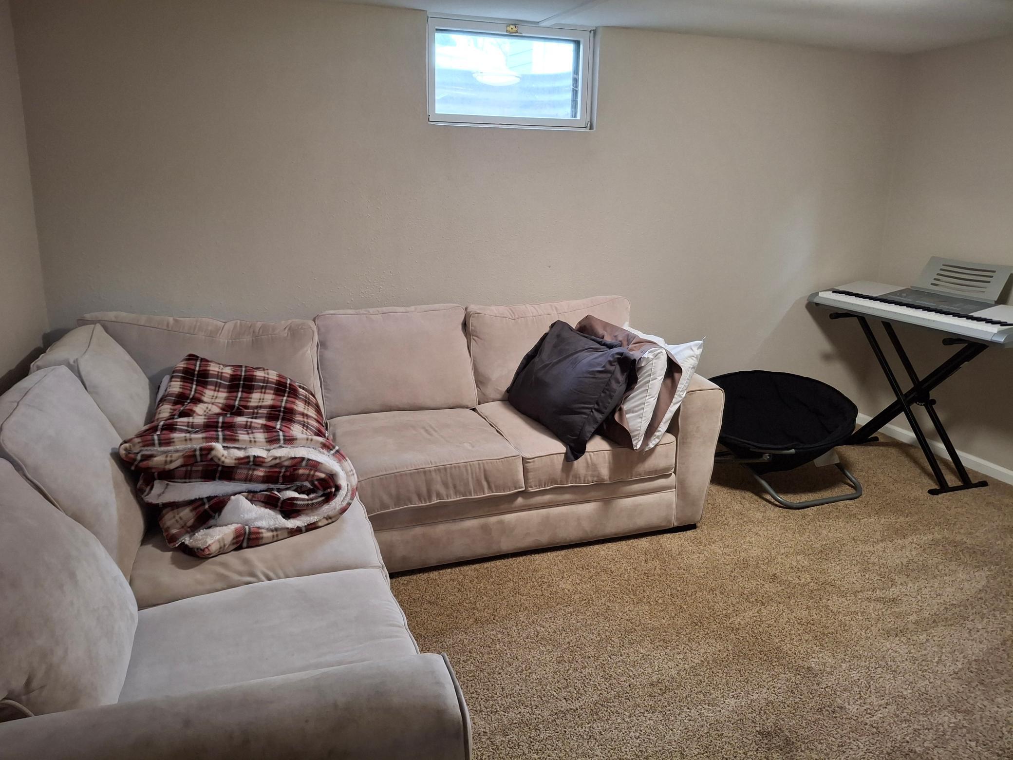 Basement Family Room