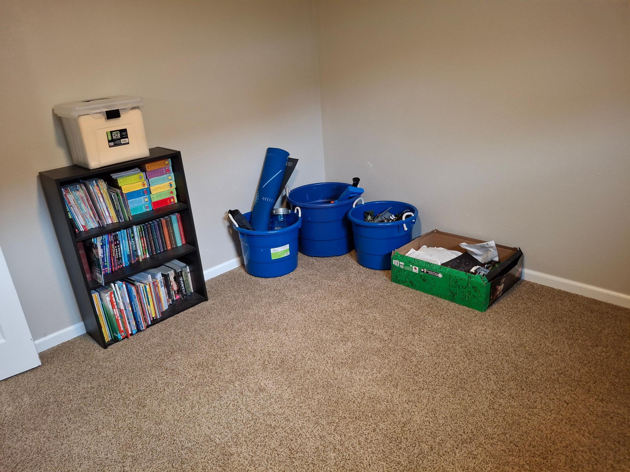 Basement Play Room