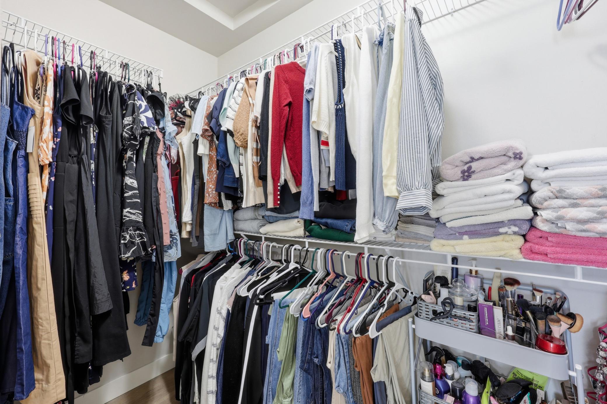 Primary Walk-In Closet