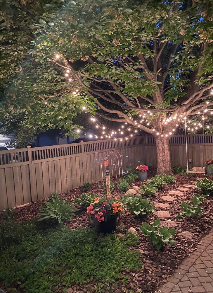 006-001-Back Yard-730x1000.jpg
