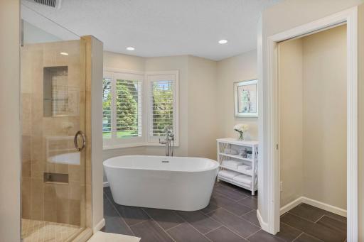 Separate shower and tub with tons of natural light
