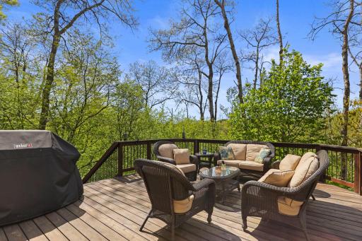 Deck in the treetops overlooking the lake
