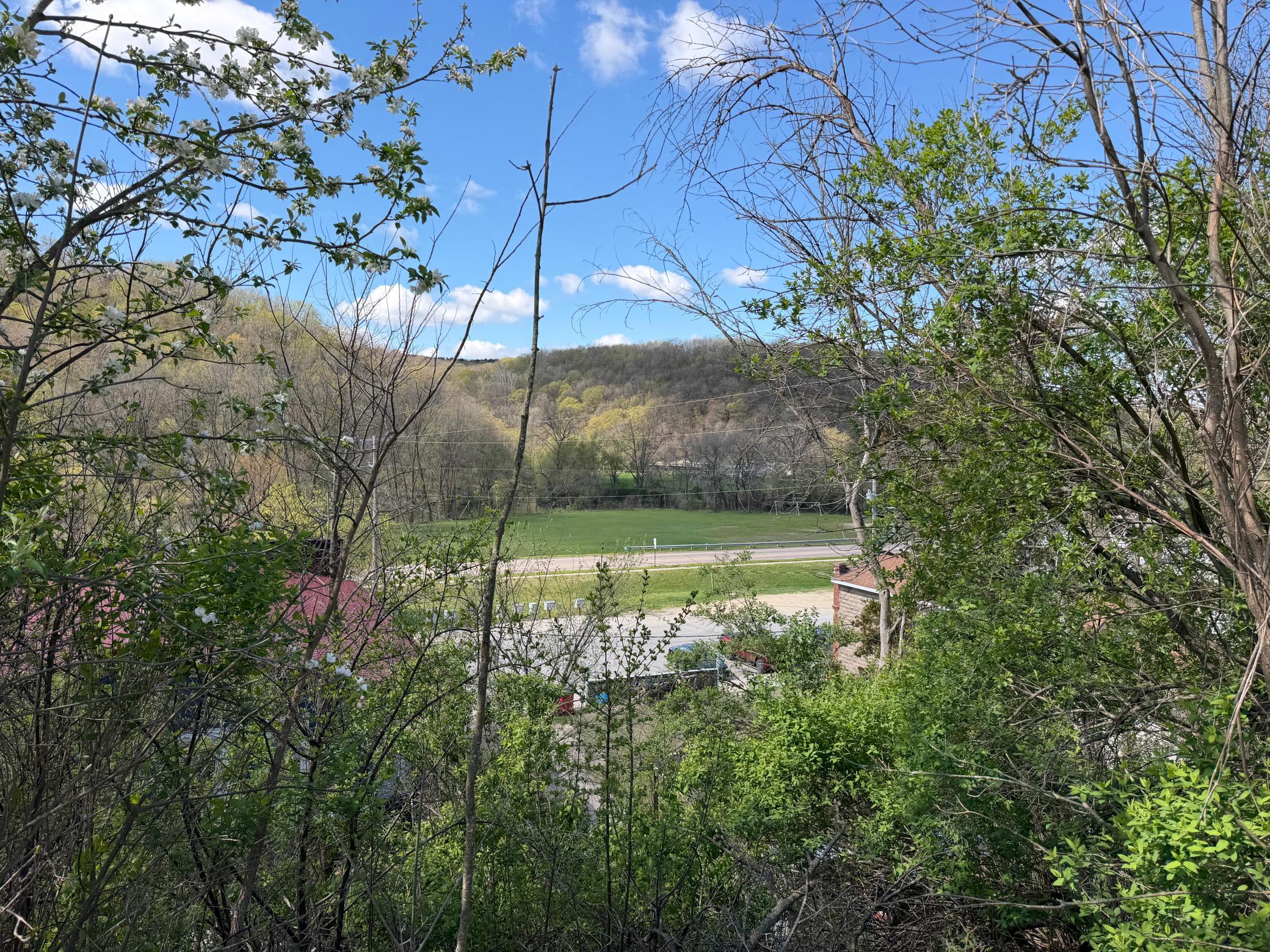 IMG_3172.jpeg