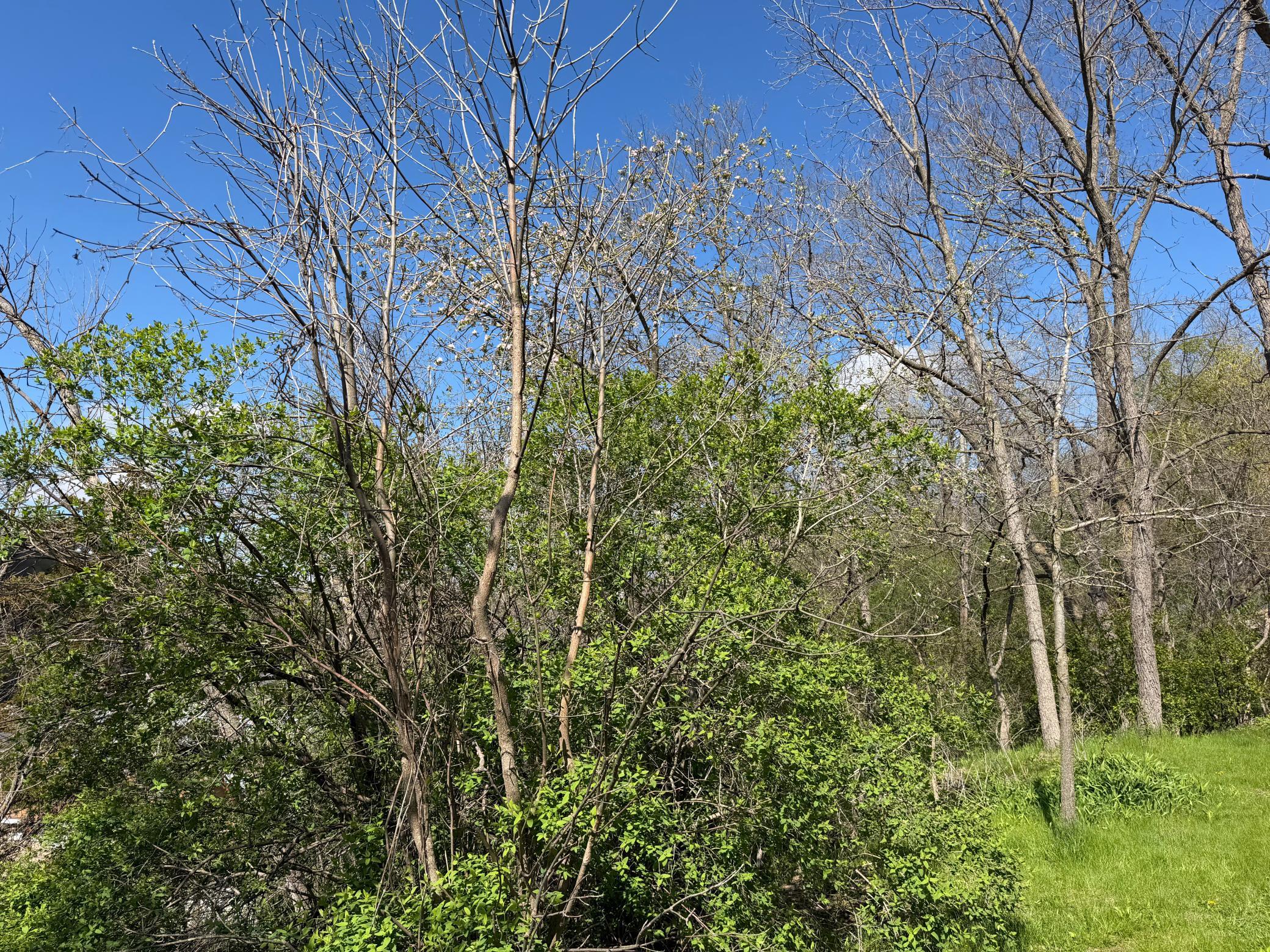 IMG_3173.jpeg
