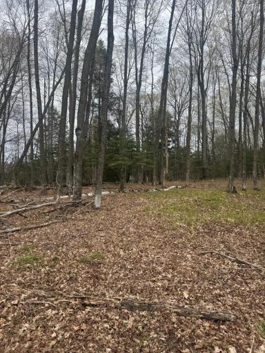 TBD1.6 CRANE LN, Hayward, WI 54843