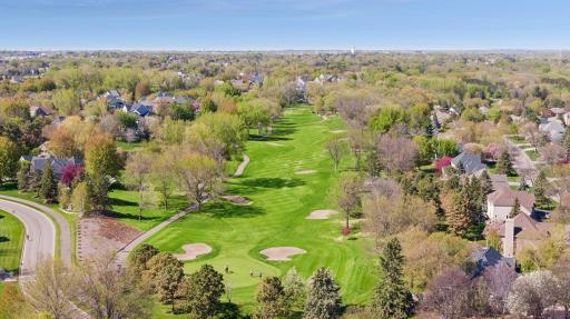 9251 Wedgewood Point, Woodbury, MN 55125