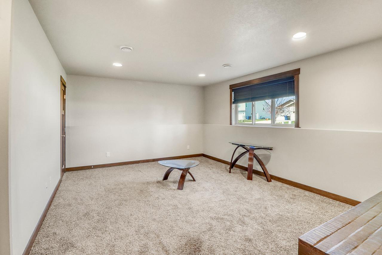 Basement Family Room