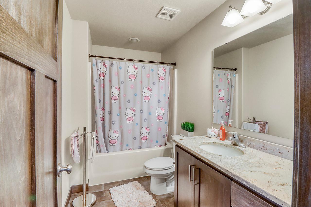 Basement Bathroom