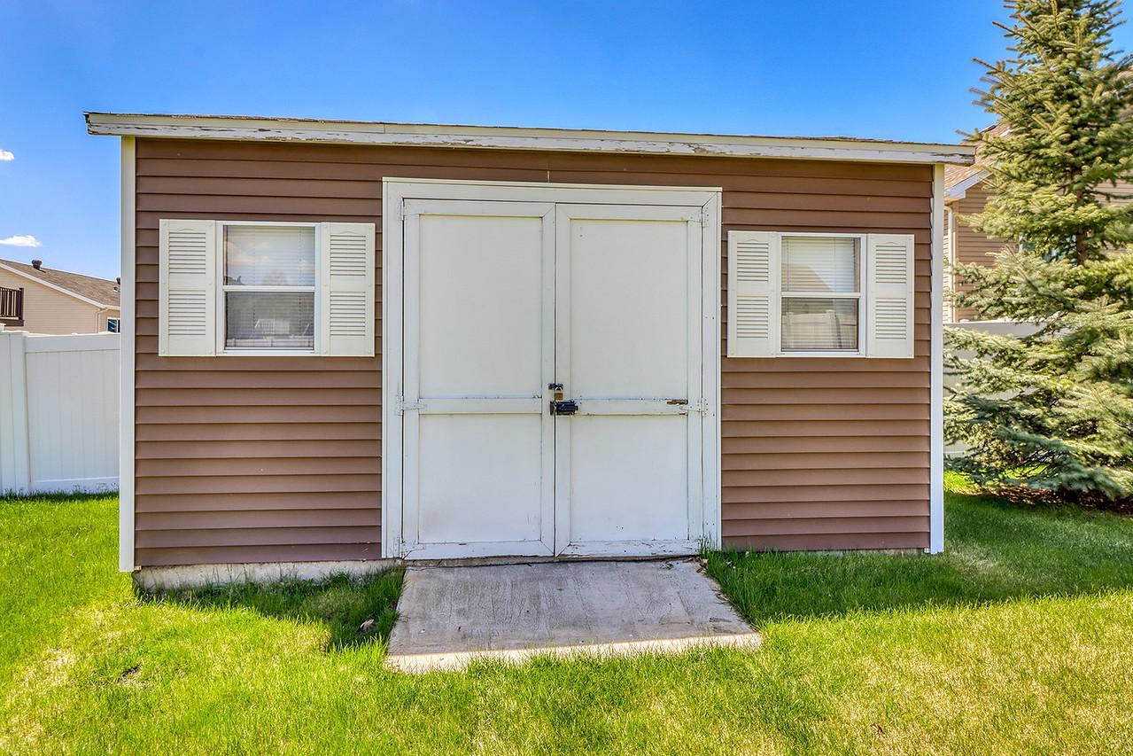 Backyard Shed