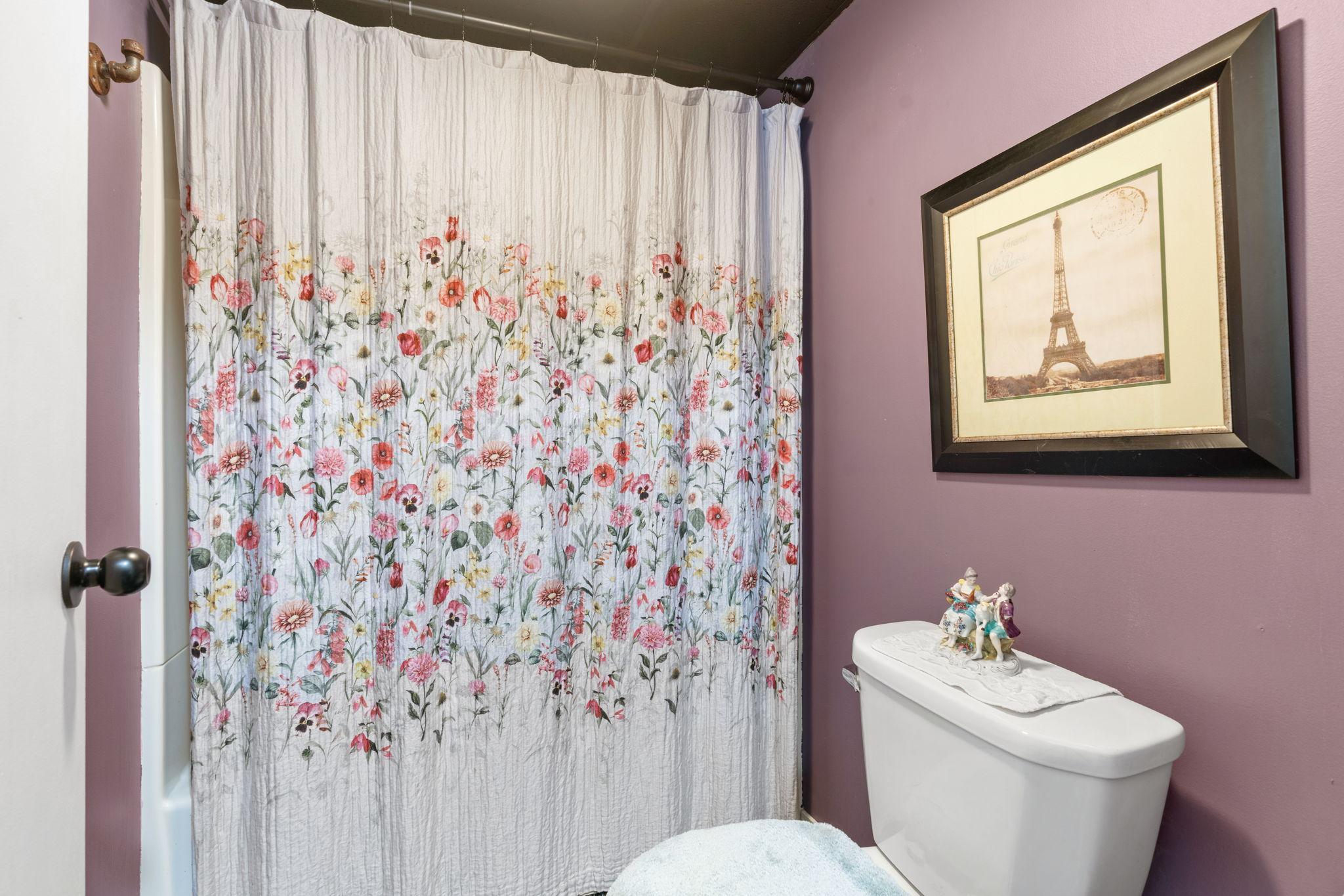 Lower level full bath
