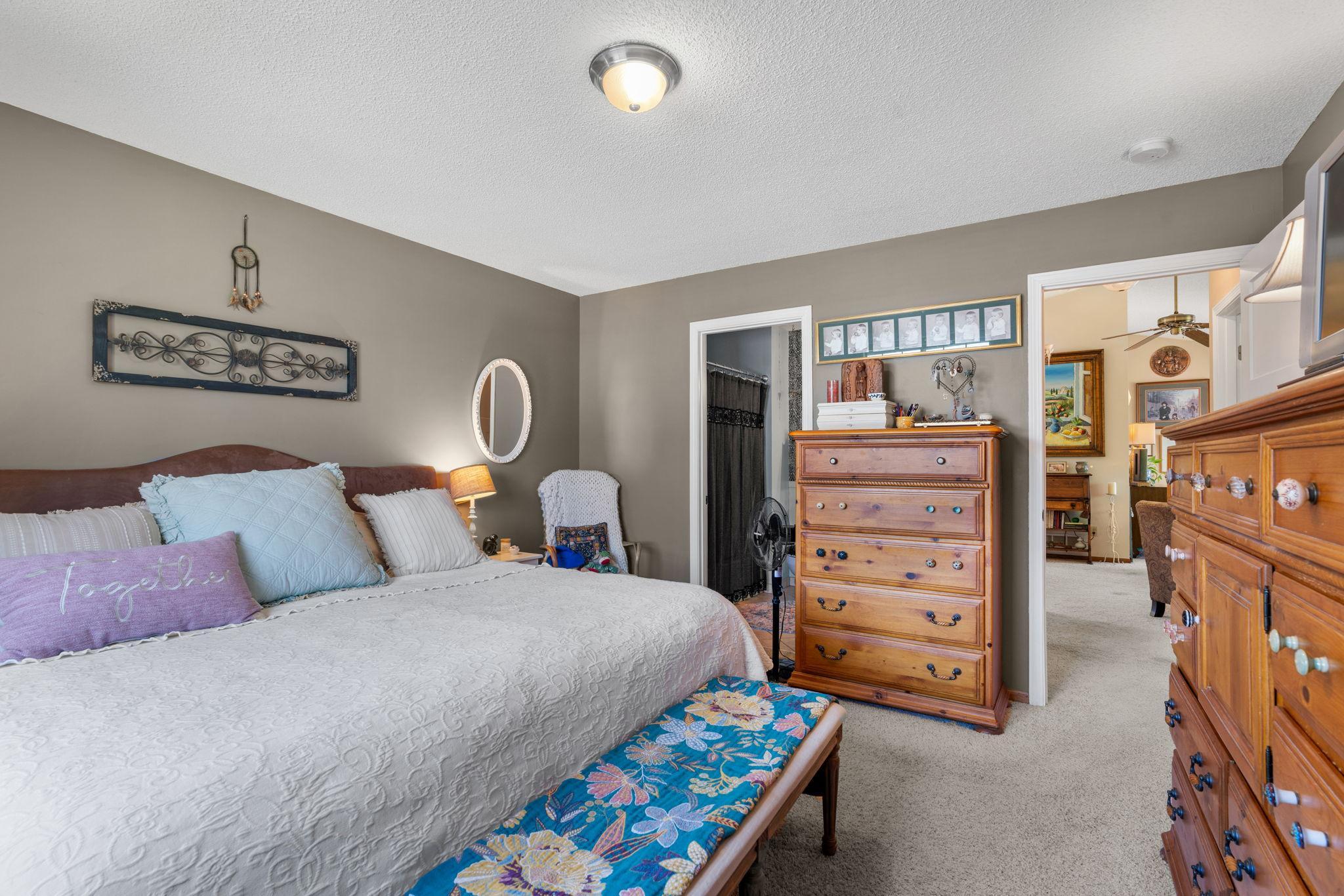 Primary bedroom with walk-in closet