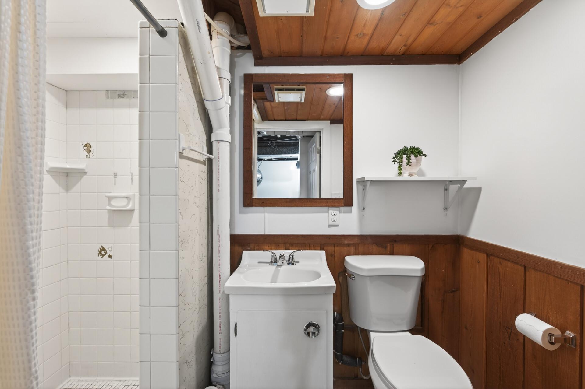 Lower level bathroom