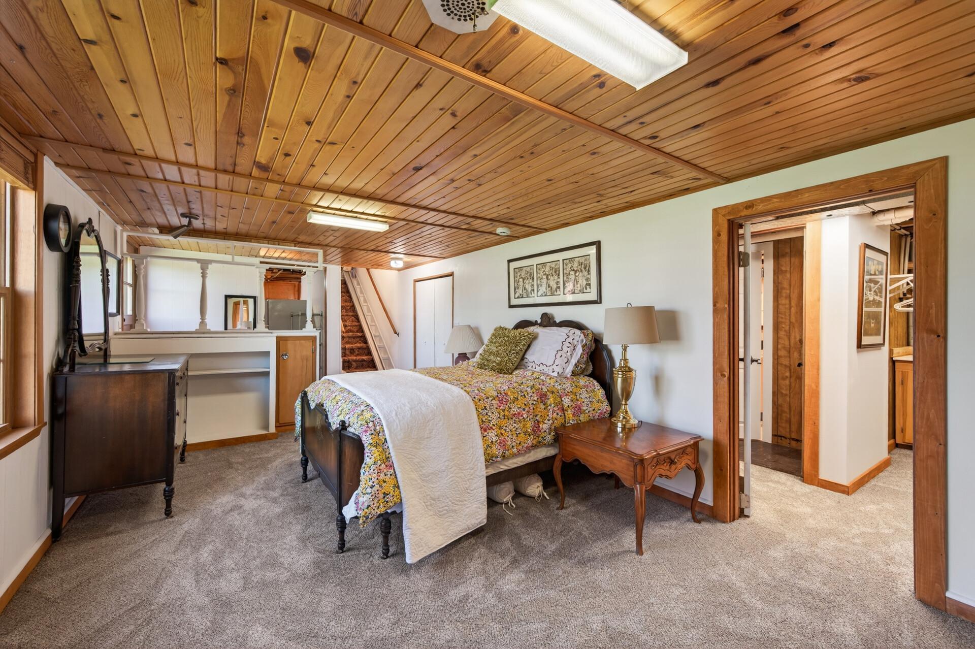 Lower level bedroom has a large walk-in closet and access to the 2nd bathroom