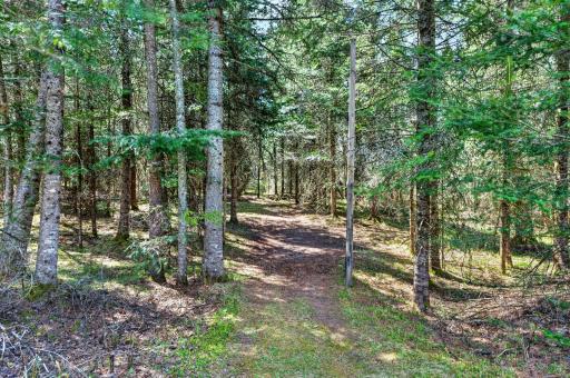 8225 N Blaisdell Lake, Winter, WI 54896
