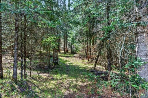 8225 N Blaisdell Lake, Winter, WI 54896