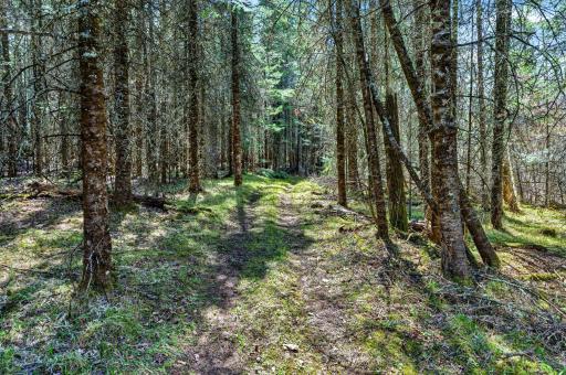 8225 N Blaisdell Lake, Winter, WI 54896