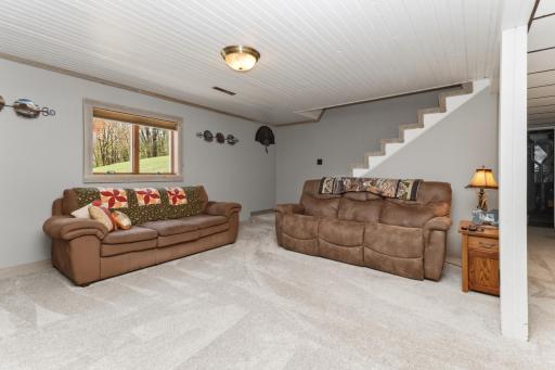 27987 Timber Lane Road, Paynesville, MN 56362