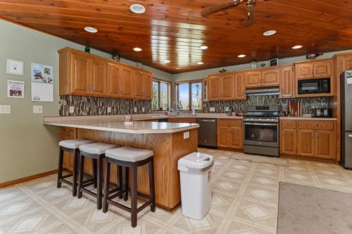 27987 Timber Lane Road, Paynesville, MN 56362