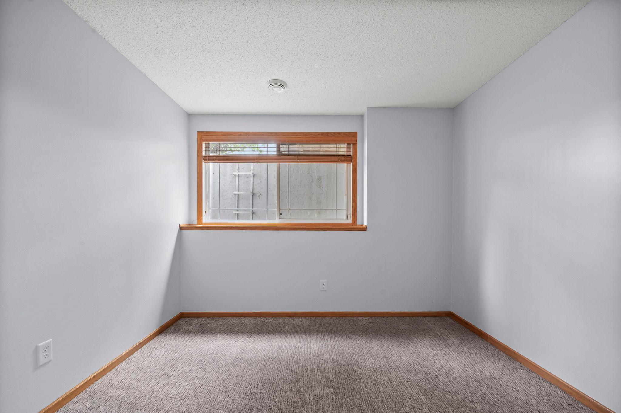 This fourth bedroom is located on the lower level and features neutral paint, plush carpeting, and a daylight window.