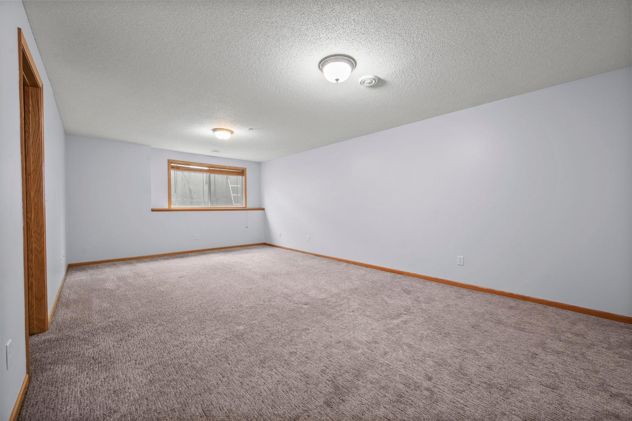 Expansive lower-level family room offers plenty of space for an entertainment center, gym, or hobby area.