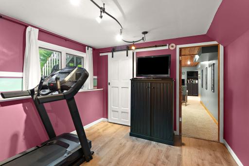 Lower Level Bedroom
